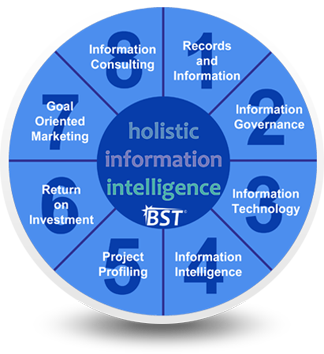 Holistic Information Intelligence